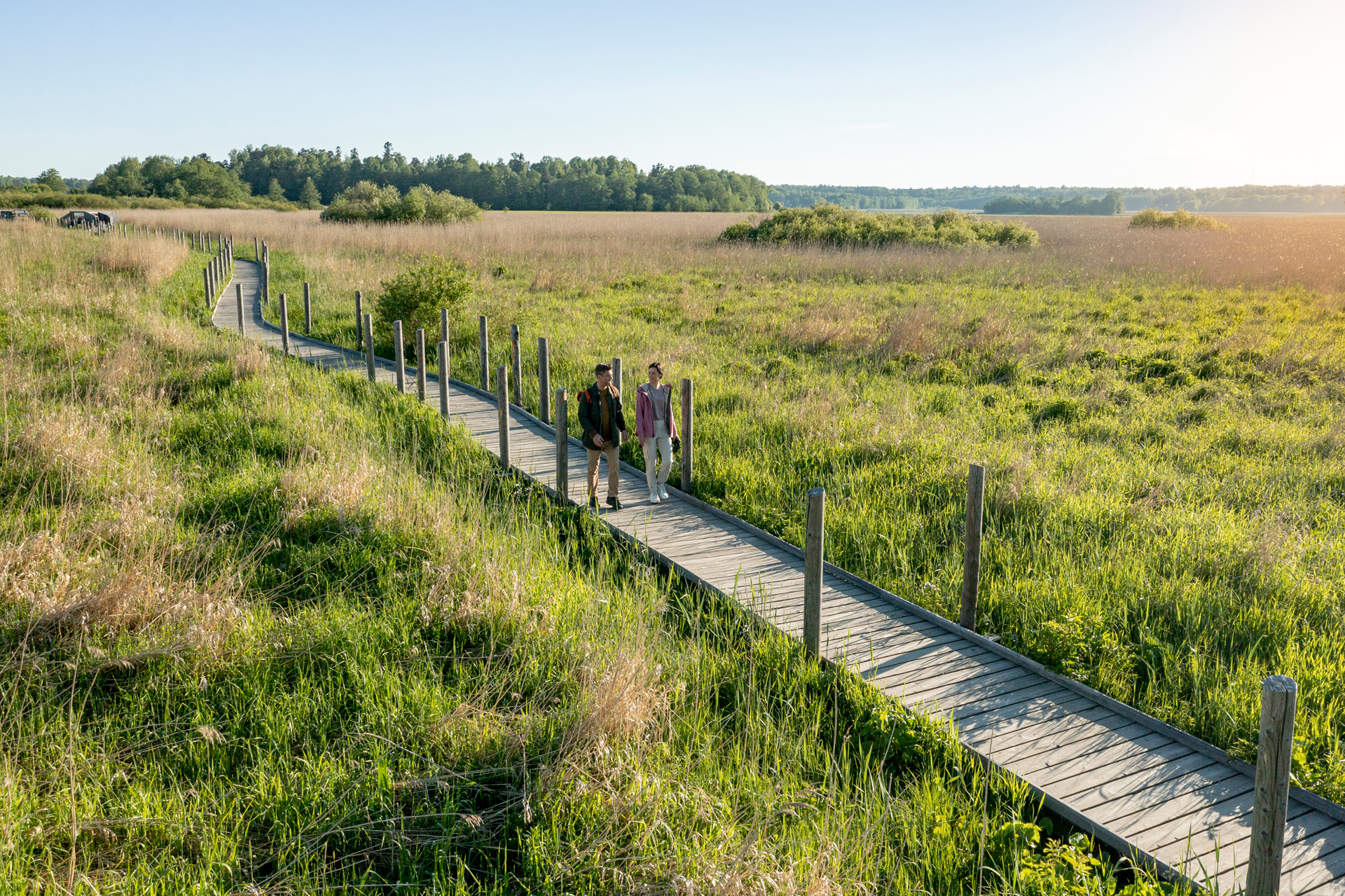 Provtagning i staffanstorp