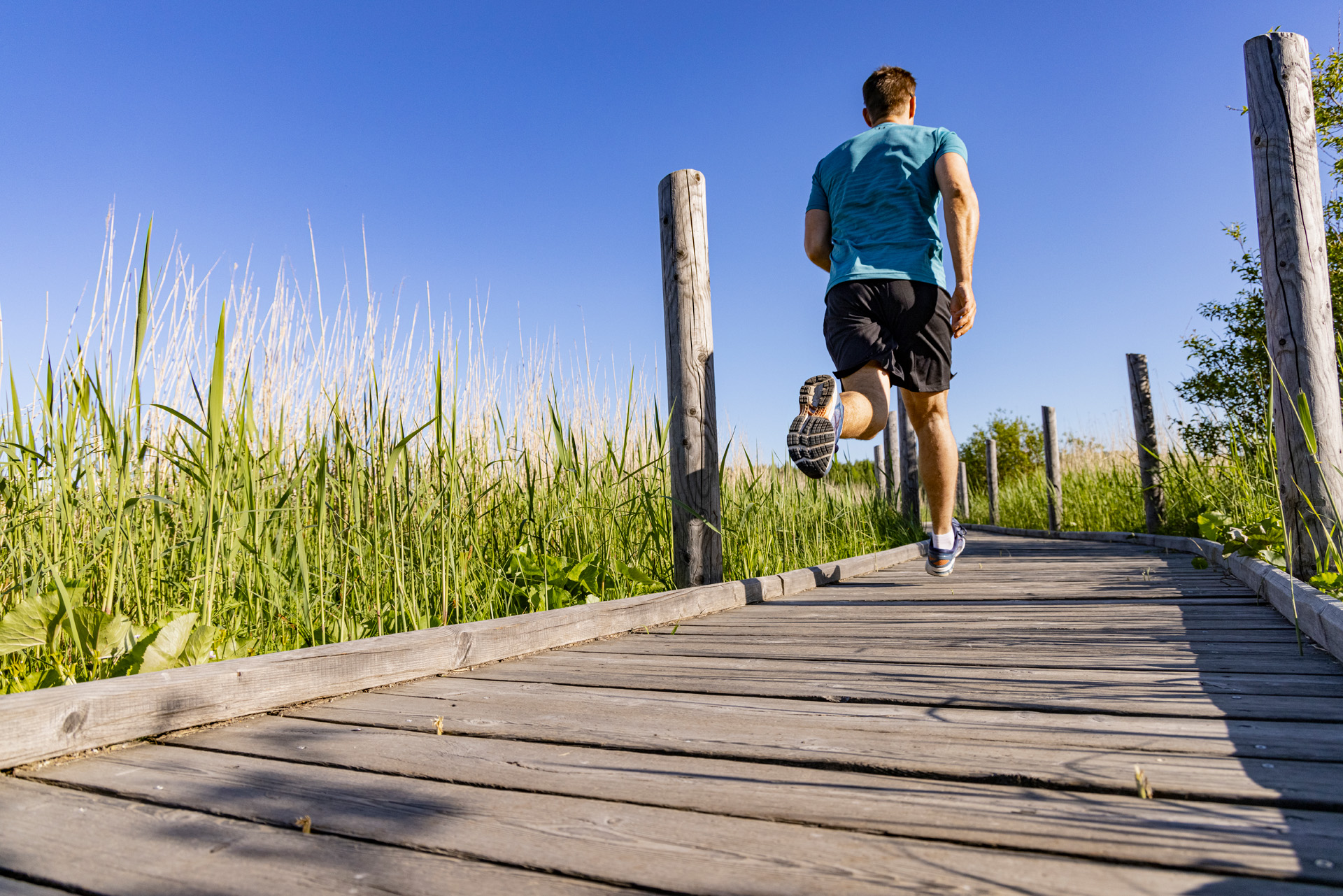 Cortisol Vital