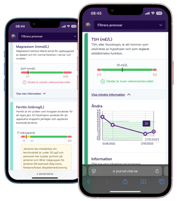 Referensvärden i Vital Journal tydliga resultat i mobilen