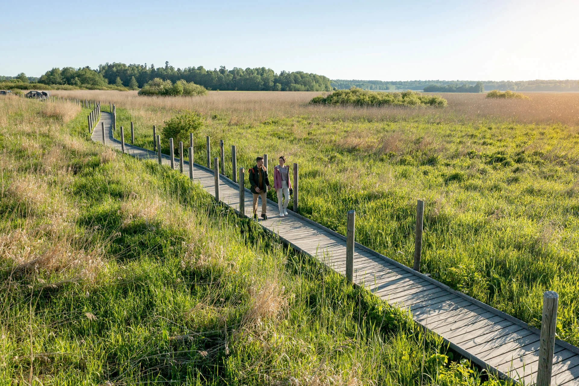 Provtagning i Ljungbyhed