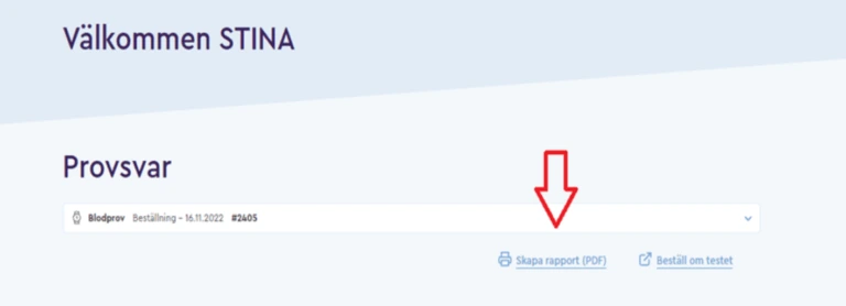 Ladda ner PDF-rapport instruktion