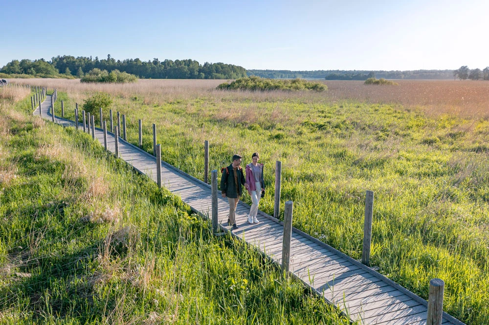Provtagning i Helsingborg